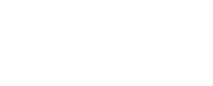 Winter Wonderland Gala